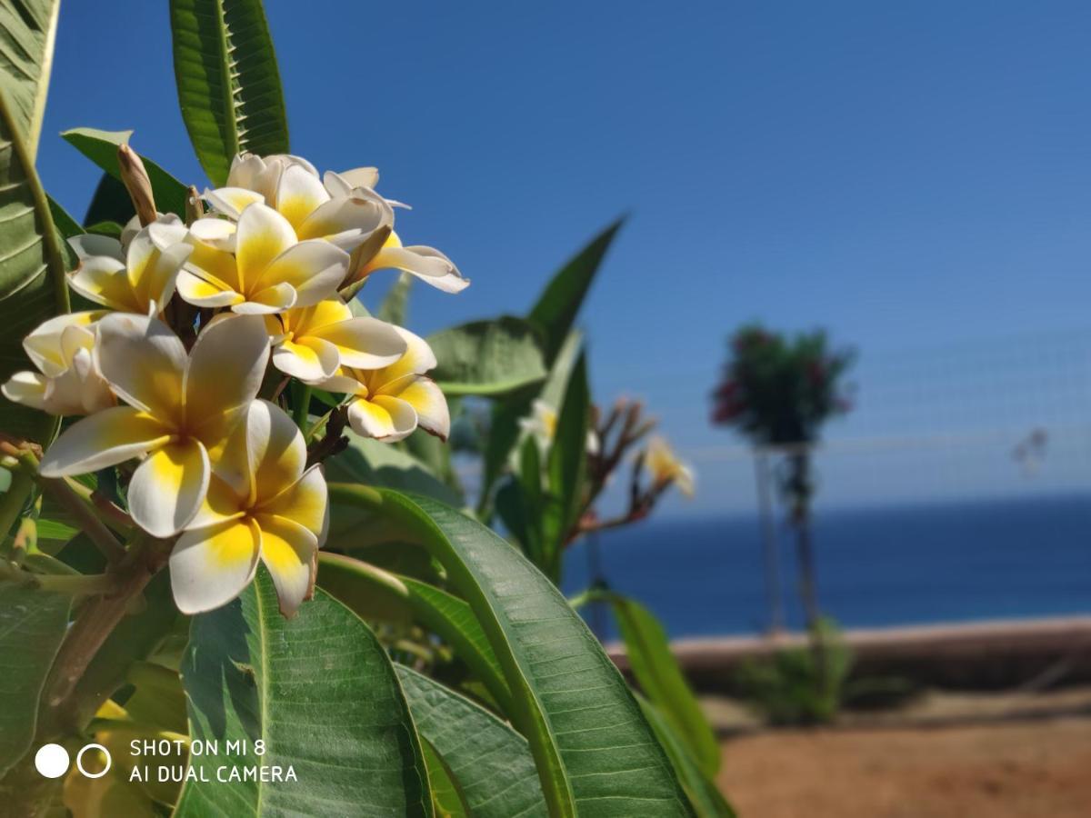 Ardani Paradise View Villa With Jacuzzi アモピ エクステリア 写真